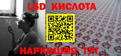 шишки Аргун