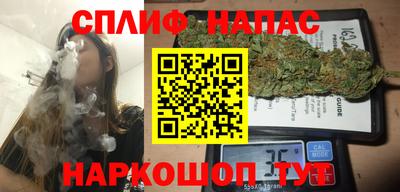 шишки Аргун