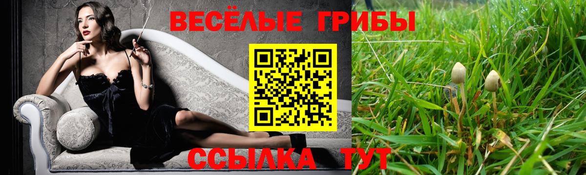 Галлюциногенные грибы Cubensis  Вход с VPN  цена   Бийск 
